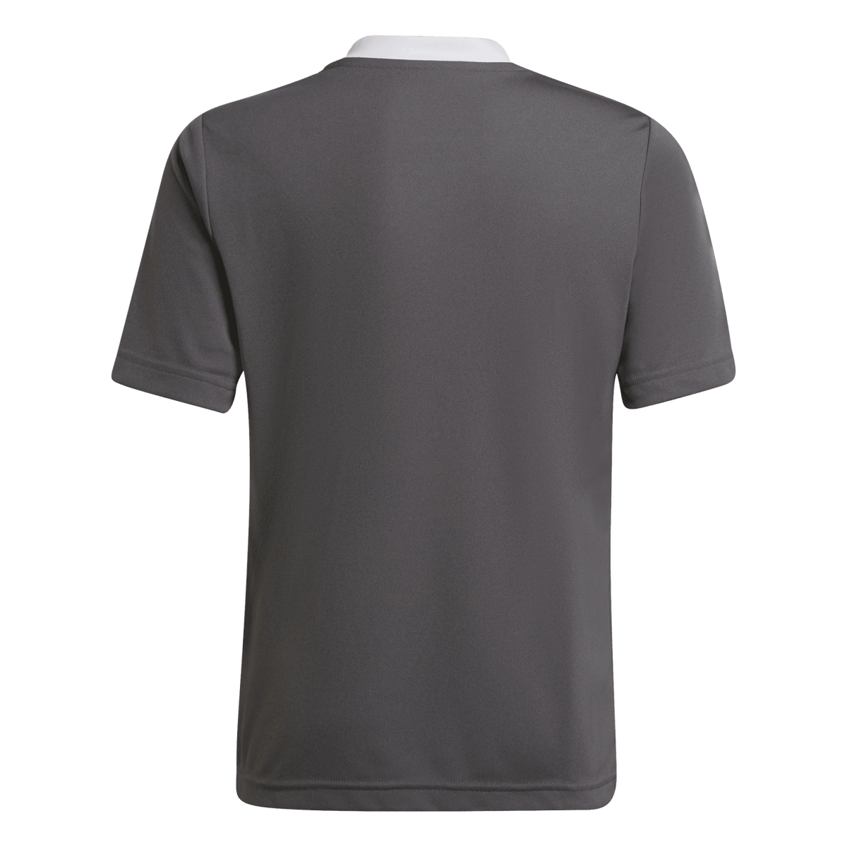 adidas Youth Entrada 22 Jersey - Grey