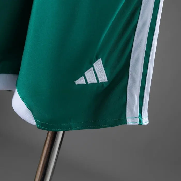 Kids Northern Ireland Home Jersey 2026 World Cup Football Kit Soccer Shirt